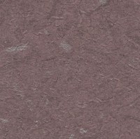 C521-68.jpg