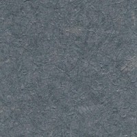 C521-77.jpg