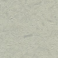 C521-81.jpg