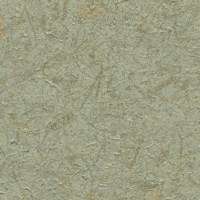 C521-83.jpg