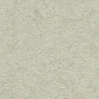 C521-86.jpg