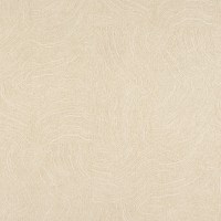 CIRCUMSTANCE_ORGANIC(CR21-01)_24x24_KOROSEAL.jpg