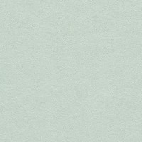 ENIGMA_SPRING-MINT(E922-02)_KOROSEAL.jpg