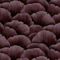 FLEUR_QUEEN-OF-NIGHT(FL21-05)_24X24_KOROSEAL.jpg