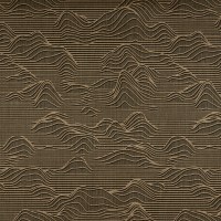 HILLSIDE_MYSTERY(HS21-08)_KOROSEAL.jpg