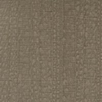 ILLUSIVE-KATYDID(LSV1-10).jpg
