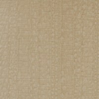 ILLUSIVE-LEOPARD(LSV1-05).jpg