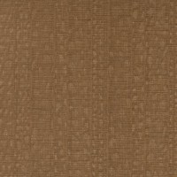 ILLUSIVE-TIGER(LSV1-13).jpg