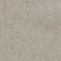 PLUTA_PATH(PL21-03)_5x5_KOROSEAL.jpg