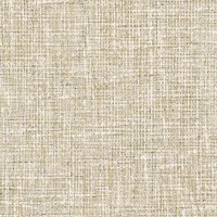 SG28-05_HAVEN-AVE_PALE-OLIVE.jpg