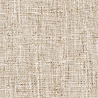 SG28-09_HAVEN-AVE_BARK.jpg