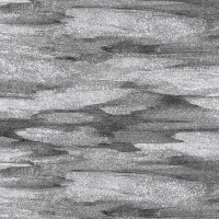 SP21-01_SANDSCAPE_TUXEDO_24x24.jpg