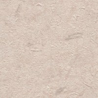 c521-22.jpg