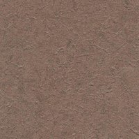 c521-41.jpg