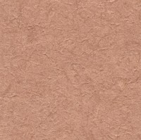 c521-48.jpg