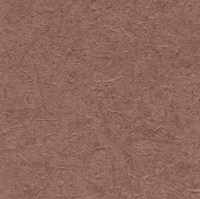 c521-59.jpg