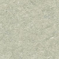 c521-80.jpg