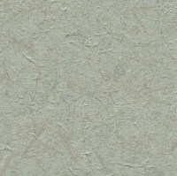 c521-82.jpg