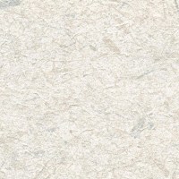 c521-95.jpg