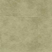 l521-80.jpg