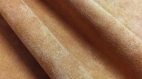 0257_02.jpg