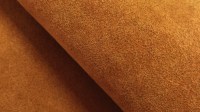 0258_90.jpg