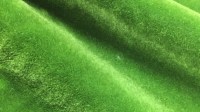 0379_45.jpg