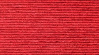 0446_04_z.jpg
