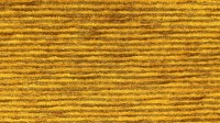 0446_25_z.jpg