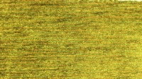 0446_26_z.jpg