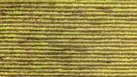 0446_27_z.jpg
