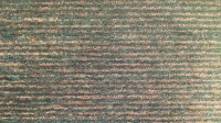 0446_30_z.jpg