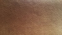 0533_04_z.jpg