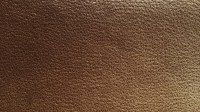 0533_07_z.jpg