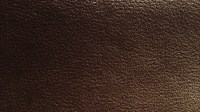 0533_08_z.jpg