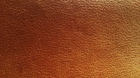 0533_12_z.jpg