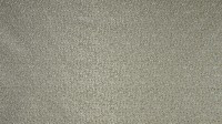 0550_02_n.jpg