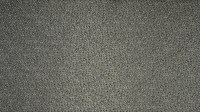 0550_05_n.jpg