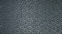 0550_07_n.jpg
