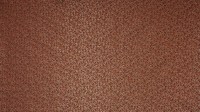 0550_08_n.jpg