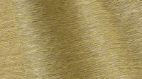0554_06.jpg