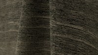 0581_02.jpg