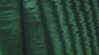 0729_07.jpg