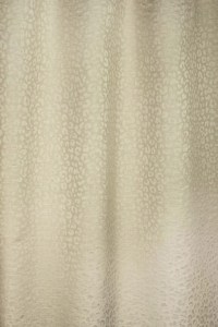 4031_02.jpg