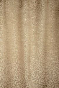 4031_03.jpg