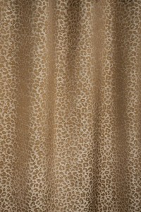 4031_04.jpg