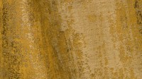4230_02.jpg