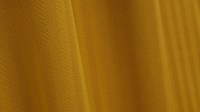 4231_12.jpg