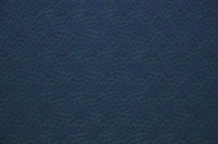 4254_03_n.jpg