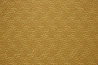 4254_07_n.jpg